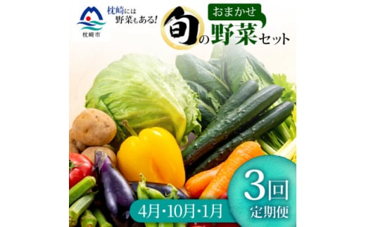 ＜発送月固定定期便＞枕崎の野菜!!定番・旬の野菜お任せセット(4・10・1月)DD0-0007全3回【4057601】