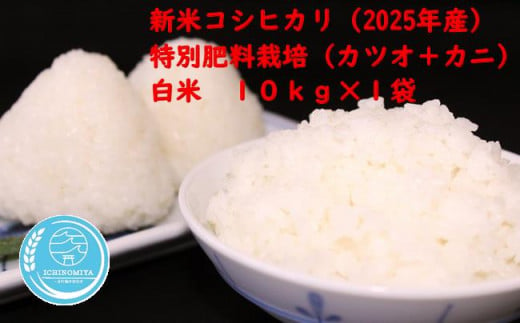 千葉県一宮町産特別肥料栽培『カツオ+カニ』コシヒカリ(白米10kg)令和7年産米[2025年発送分] 一等米 10kg 1袋 白米 精米 先行予約