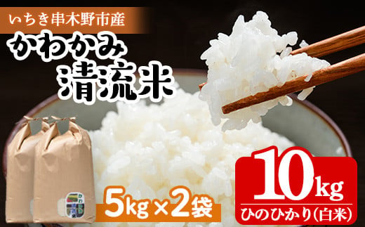 【令和6年度 新米 ＜10月中旬より発送＞】米 10kg（5kg×2袋）かわかみ清流米（ひのひかり） 令和6年 鹿児島県産 農家直送 新米 米 白米 10kg 袋 ひのひかり 備蓄 や 贈答 にもオススメ！【AA-036H】 564548 - 鹿児島県いちき串木野市