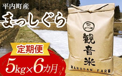 ＜定期便＞ 100年続く米農家 新米 まっしぐら 5kg×6ヶ月連続（令和6年産） 【マルサンファーム】 白米 精米 米 お米 おこめ コメ 東北 青森県 平内町 F21J-122 686905 - 青森県平内町