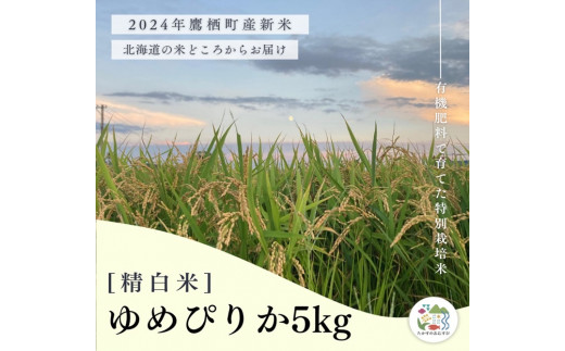 A252【令和６年産】ゆめぴりか（精白米）特Aランク 5kg 北海道 鷹栖町 たかすのおむすび 米 コメ ご飯 精 白米 お米 ゆめぴりか 1503526 - 北海道鷹栖町