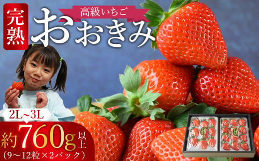 ＜高級いちご 「おおきみ」（9～12粒×2パック 合計約760g以上）化粧箱＞【 いちご イチゴ 苺 先行予約 甘い 大きい 果物 フルーツ 季節物 】2025年1月上旬から4月末迄に順次出荷 223847 - 宮崎県国富町