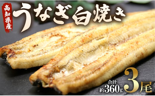 うなぎ屋きた本 うなぎ白焼き120g 3尾セット(無頭) un-0018