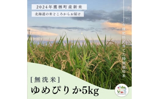 A255【令和６年産】ゆめぴりか（無洗米）特Aランク 5kg 北海道 鷹栖町 たかすのおむすび 米 コメ ご飯 無洗米 お米 ゆめぴりか 1503529 - 北海道鷹栖町