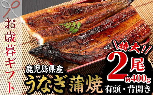 【令和6年お歳暮対応】厳選！ 国産 鹿児島県産 うなぎ  蒲焼 特大 2尾 約400g 鰻養殖生産量日本一 鹿児島県産新仔うなぎ使用 こだわりの地焼き！ 冷凍うなぎ 秘伝のタレ 付き うな重 うな丼 きざみ鰻 うなぎのせいろ蒸し弁当にもオススメ！ 贈答 ギフト にも！【南竹鰻加工】【SB-035H】 1524395 - 鹿児島県いちき串木野市