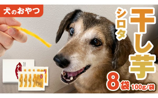 犬 の おやつ 干し芋 シロタ ( 100g × 8袋 ) 国産 手作り さつまいも 芋 お菓子 小分け 個包装 少量 栄養 食物繊維 噛みごたえ ドッグフード わんちゃん わんこ ペット ペットフード [EE017sa]	