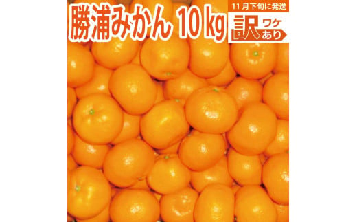 谷内青果 早生みかん 訳あり 10kg 1503625 - 徳島県勝浦町