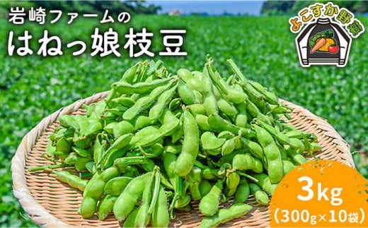 【先行予約】【数量限定】はねっ娘枝豆 3kg（300g×10袋）【有限会社岩崎ファーム】 [AKCZ002] 1525831 - 神奈川県横須賀市