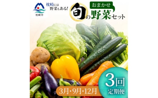 ＜発送月固定定期便＞枕崎の野菜!!定番・旬の野菜お任せセット(3・9・12月)DD0-0009全3回【4057594】