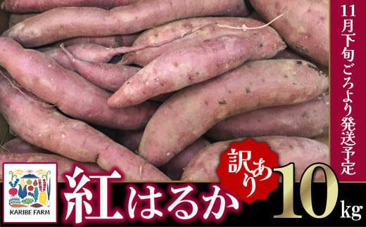 【先行予約】【訳あり】茨城県産 さつまいも 「紅はるか」 10kg【2024年11月下旬ごろ順次発送】【さつまいも 紅はるか 甘い ねっとり サツマイモ 焼き芋 芋 大容量 茨城県産 焼き芋 スイートポテト レシピ】 1504063 - 茨城県下妻市