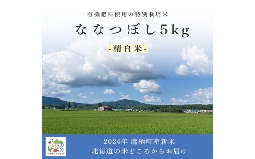 A261【令和６年産】ななつぼし（精白米）特Aランク 5kg 北海道 鷹栖町 たかすのおむすび 米 コメ ご飯 精 白米 お米 ななつぼし 1503535 - 北海道鷹栖町