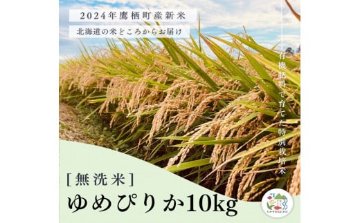 A256【令和６年産】ゆめぴりか（無洗米）特Aランク 10kg 北海道 鷹栖町 たかすのおむすび 米 コメ ご飯 無洗米 お米 ゆめぴりか 1503530 - 北海道鷹栖町