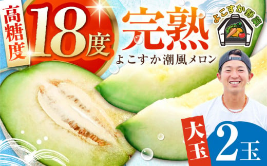 【先行予約】【数量限定】よこすか潮風メロン 大玉4L 2玉セット 計約3kg めろん フルーツ 果物 ネットメロン 贈答 希少 産地直送 横須賀【井上農園】 [AKDJ001] 1525799 - 神奈川県横須賀市