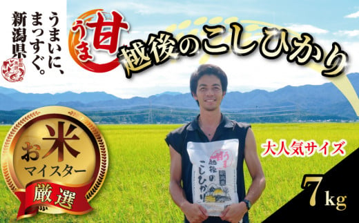 【令和6年産】甘うま越後のこしひかり 7kg 越後 えちご 玄米 特別栽培米 新潟 コメ こめ お米 米 しんまい 新潟県 新潟米 新発田市 新発田 斗伸 1482810 - 新潟県新発田市