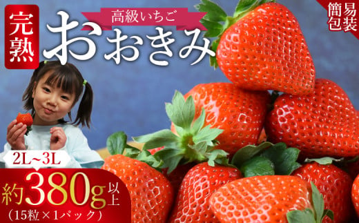 ＜高級いちご 「おおきみ」（15粒入り×1パック約380g以上）簡易包装＞【 いちご イチゴ 苺 先行予約 甘い 大きい 果物 フルーツ 季節物 】2025年1月上旬から4月末迄に順次出荷