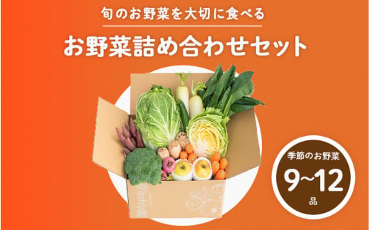 多数のメディアで紹介されました！【訳あり】旬のもったいないお野菜詰め合わせセット[B-16401] /訳あり 訳アリ ロスヘル 野菜 規格外野菜 冬野菜 やさい サラダ フードロス 果物 くだもの フルーツ 福井県鯖江市 1505536 - 福井県鯖江市