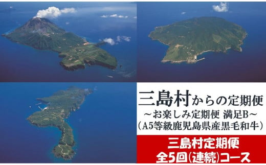 【定期便/全5回-5カ月連続お届け】三島村からのお届け　お楽しみ定期便-満足B-