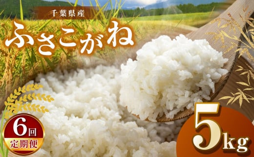 【新米・令和6年産】【6回定期便】君津市産ふさこがね（精米）5kg | JA さだもと 米 こめ お米 おこめ 白米 精米 定期便 定期 千葉県 君津市 きみつ 1521202 - 千葉県君津市