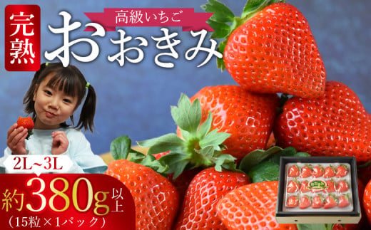 [高級いちご 「おおきみ」(15粒入り×1パック約380g以上)化粧箱][ いちご イチゴ 苺 先行予約 甘い 大きい 果物 フルーツ 季節物 ]2025年1月上旬から4月末迄に順次出荷