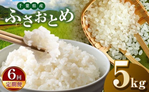 【新米・令和6年産】【6回定期便】君津市産ふさおとめ（精米）5kg | JA さだもと 米 こめ お米 おこめ 白米 精米 定期便 定期  千葉県 君津市 きみつ 1521201 - 千葉県君津市