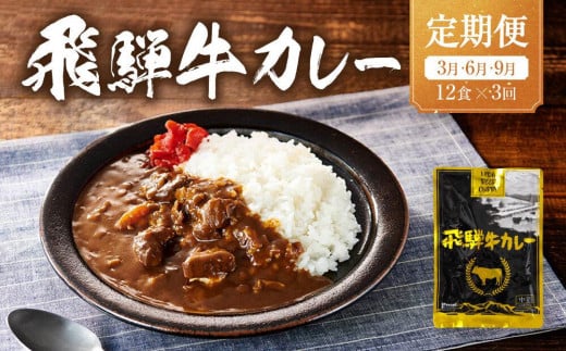 【期間限定】飛騨牛カレー 36袋(12袋x3回) 定期便 3回【3月・6月・9月】| 訳あり 飛騨牛 肉 牛 カレー ビーフカレー 簡易包装 レトルトカレー ご当地カレー 人気 おすすめ ふるさと清見21 DC105 1503353 - 岐阜県高山市