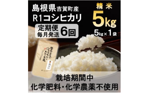 ＜毎月定期便＞栽培期間中化学肥料・化学農薬不使用 R1米コシヒカリ5kg(精米)全6回【4057271】 1506271 - 島根県吉賀町