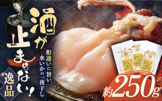 [着日指定 可能][身が厚く柔らかい]漁師の水烏賊一夜干し 約250g(2〜3枚) 平戸市 / 中野漁業協同組合 