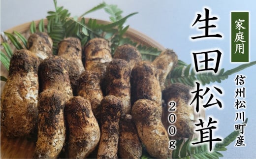 24B 梅松苑 生田まつたけ 松川町生田産 約200g(松茸)家庭用 // 松川町産 長野県 まつたけ マツタケ 松茸 旬の野菜 秋の味覚 きのこ キノコ 天然松茸