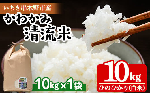 【令和6年度 新米 ＜10月中旬より発送＞】米 10kg！（10kg×1袋）かわかみ清流米（ひのひかり） 令和6年 鹿児島県産 農家直送 新米 米 白米 10kg 袋 ひのひかり 備蓄 や 贈答 にもオススメ！【AA-035H】 564547 - 鹿児島県いちき串木野市