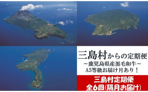 【定期便/6回】三島村からのお届け　鹿児島県産黒毛和牛