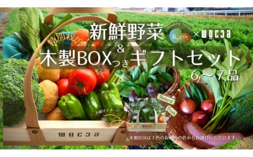 【特別栽培・農家直送】旬のお野菜 詰め合わせギフトセット 6～7品 ウッドBOX付き 1504096 - 香川県さぬき市