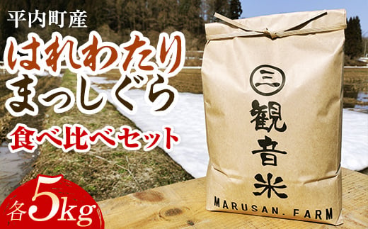 100年続く米農家 新米 まっしぐら・はれわたり 食べ比べセット各5kg 合計10kg （令和6年産） 【マルサンファーム】 白米 精米 米 お米  おこめ コメ 東北 青森県 平内町 F21J-134｜ふるラボ