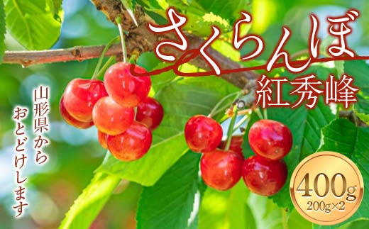 【令和7年度先行予約】さくらんぼ（紅秀峰）400g（200g×2）FSY-2122