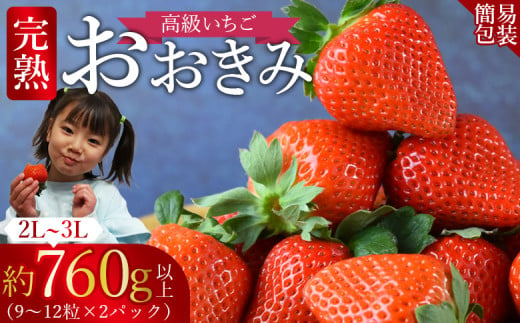 ＜高級いちご 「おおきみ」（9～12粒×2パック 合計約760g以上）簡易包装＞【 いちご イチゴ 苺 先行予約 甘い 大きい 果物 フルーツ 季節物 】2025年1月上旬から4月末迄に順次出荷