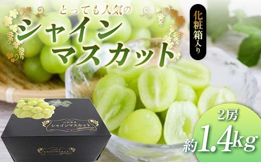 《先行予約 令和7年度発送》 【贈答用】とっても人気の『シャインマスカット』 2房 化粧箱入り FSY-2057 1538217 - 山形県山形県庁