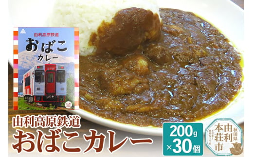 由利高原鉄道 おばこカレー 中辛 200g×30個セット 1502782 - 秋田県由利本荘市