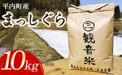 100年続く米農家 新米 まっしぐら 10kg （令和6年産） 【マルサンファーム】 白米 精米 米 お米 おこめ コメ 東北 青森県 平内町 F21J-119 686902 - 青森県平内町