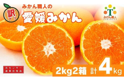 先行受付 訳あり 愛媛みかん 2kg 2箱 計約4kg 人気 みかん 冬 秋 旬 糖度 糖度計 厳選 光センサー選果 柑橘 少量 果物 くだもの 国産 おすそ分け フルーツ スイーツ デザート お福分け みかん 蜜柑 大小 サイズ ミックス 不揃い 傷 温州 温州みかん ビタミン 美味しい 農家直送 地場産品 こだわり みかん職人武田屋 愛媛県 愛南町 発送期間:9月中旬〜1月中旬