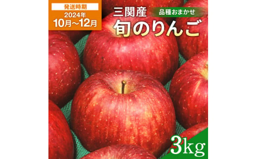 三関産りんご 3kg 中生種 (早生ふじ他)[K3-2602]