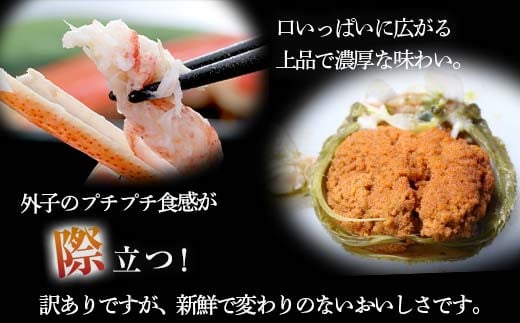 北海道森町のふるさと納税 【訳あり】浜茹でオオズワイガニのメス（外子付き）2kg 詰め込みセット 北海道噴火湾産 ＜道産ネットミツハシ＞ かに カニ 蟹 がに 北海道 森町 ふるさと納税 mr1-0727