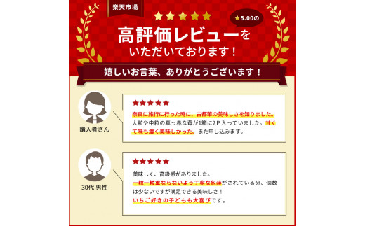 奈良県大和郡山市のふるさと納税 佃農園のこだわり完熟 古都華 【いちご】 [№5990-0476]