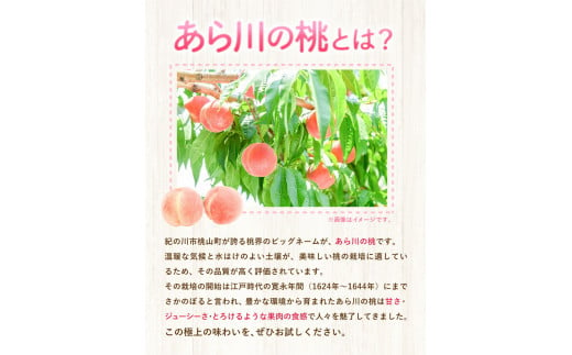 和歌山県紀の川市のふるさと納税 【先行予約】秀選品 和歌山のブランド桃「あら川の桃」約1.5kg 4~5玉入り 厳選館《2025年6月下旬-8月上旬頃出荷》 紀の川市厳選館 和歌山県 紀の川市　｜フルーツ 果物