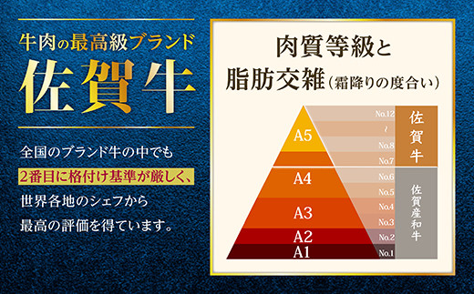 佐賀県鹿島市のふるさと納税 佐賀牛 すき焼き 食べ比べ セット 420g すきやき・しゃぶしゃぶ用 肩ロース 210g・牛もも 210g 牛肉 肉 黒毛和牛 冷凍 ふるさと納税 佐賀県 鹿島市 B-330 [B-330]