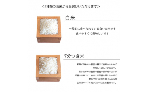 選べる精米率】 新米 令和6年産 三重県産 コシヒカリ 5kg [ 白米 玄米 5分つき米 7分つき米 ] 三重県津市 - 三重県津市｜ふるさとチョイス  - ふるさと納税サイト