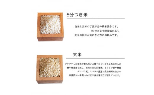 選べる精米率】 新米 令和6年産 三重県産 コシヒカリ 10kg ( 5kg × 2袋 )[ 白米 玄米 5分つき米 7分つき米 ] 三重県津市 -  三重県津市｜ふるさとチョイス - ふるさと納税サイト