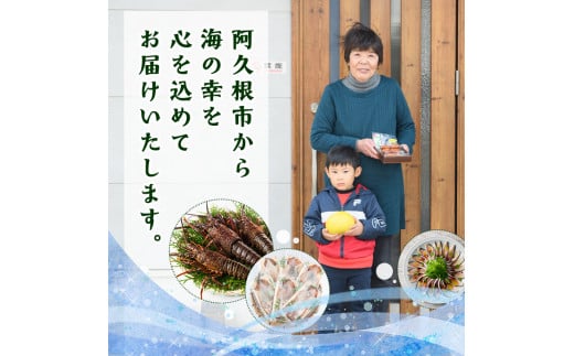 ところてんの素「天草(テングサ)」(50g×6袋)国産 鹿児島県産 心太 海藻 おかず 料理 小分け 個包装 乾物【福美丸水産】a-13-7-z -  鹿児島県阿久根市｜ふるさとチョイス - ふるさと納税サイト