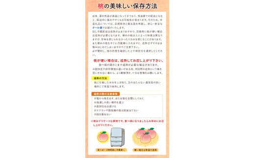 和歌山県紀の川市のふるさと納税 【先行予約】秀選品 和歌山のブランド桃「あら川の桃」約1.5kg 4~5玉入り 厳選館《2025年6月下旬-8月上旬頃出荷》 紀の川市厳選館 和歌山県 紀の川市　｜フルーツ 果物