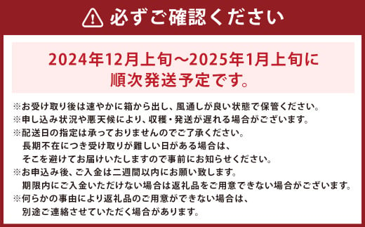 長崎県産 「味ロマン」 約5kg 温州みかん 糖度12度 フルーツ