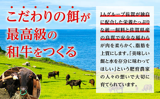 佐賀県鹿島市のふるさと納税 佐賀牛 すき焼き 食べ比べ セット 420g すきやき・しゃぶしゃぶ用 肩ロース 210g・牛もも 210g 牛肉 肉 黒毛和牛 冷凍 ふるさと納税 佐賀県 鹿島市 B-330 [B-330]