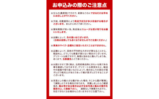 和歌山県紀の川市のふるさと納税 【先行予約】秀選品 和歌山のブランド桃「あら川の桃」約1.5kg 4~5玉入り 厳選館《2025年6月下旬-8月上旬頃出荷》 紀の川市厳選館 和歌山県 紀の川市　｜フルーツ 果物